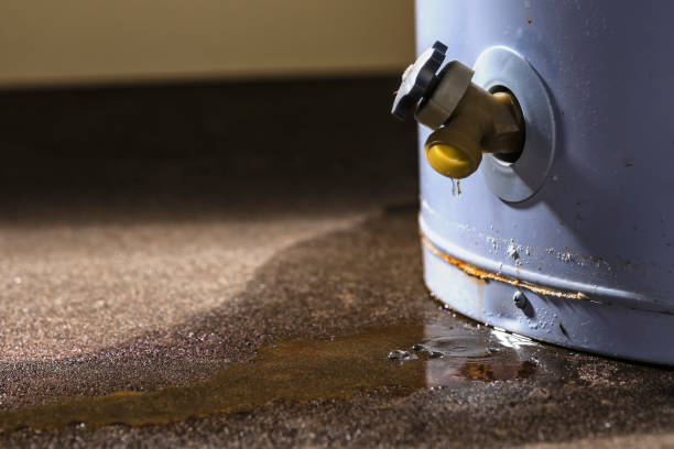 Best Water damage restoration cost  in Greenfield, IL