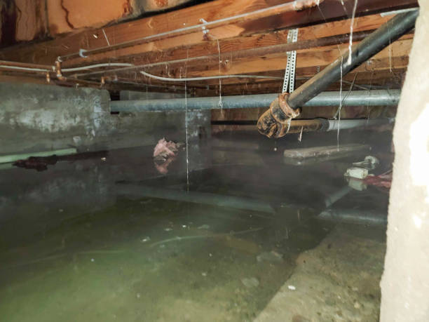 Best 24/7 water damage repair  in Greenfield, IL