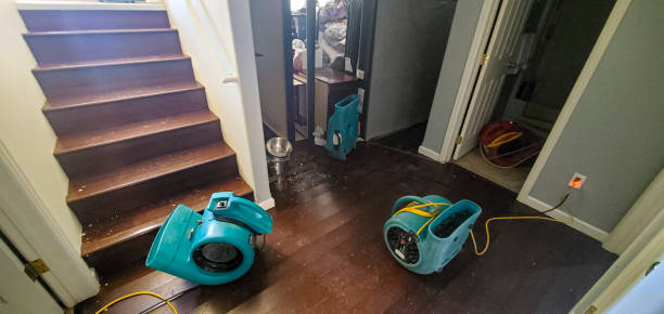 Best Water damage restoration near me  in Greenfield, IL