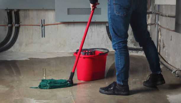 Best Water damage contractors near me  in Greenfield, IL