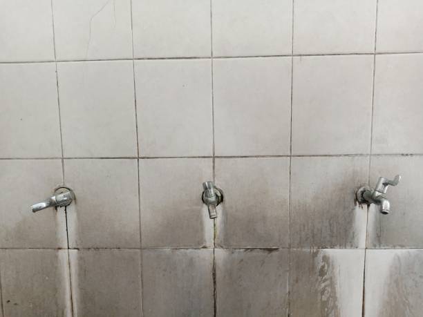 Best Flood damage cleanup  in Greenfield, IL