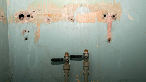 Best 24-hour water damage restoration  in Greenfield, IL