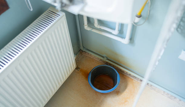 Best Professional water damage repair  in Greenfield, IL