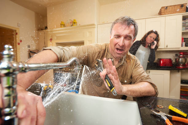 Best Basement water damage restoration  in Greenfield, IL